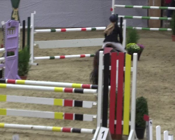 Reitturnier Legden 2018