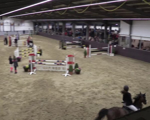 Reitturnier Legden 2018