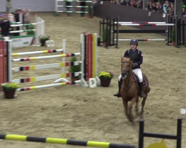 Reitturnier Legden 2018