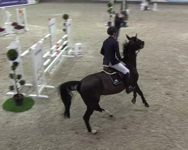 Nordic Jumping events 2018