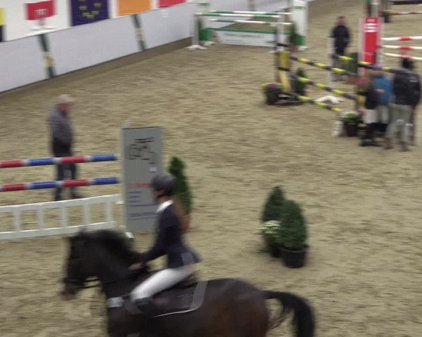 Reitturnier Legden 2018