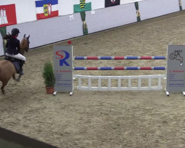 Reitturnier Legden 2018