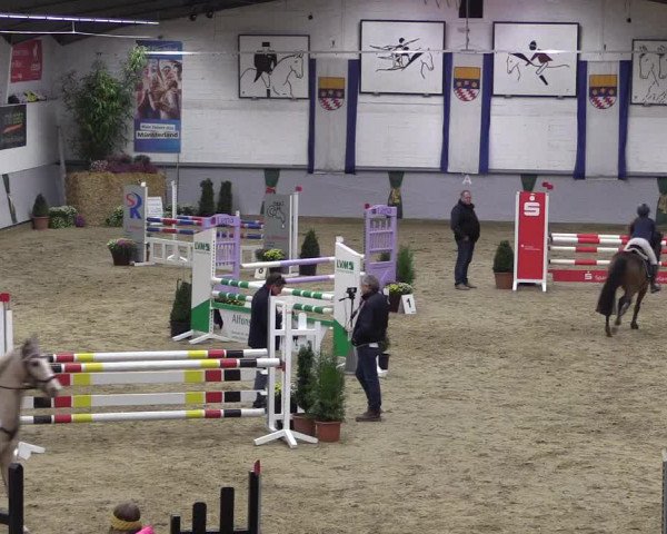Reitturnier Legden 2018