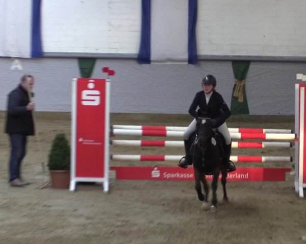 Reitturnier Legden 2018