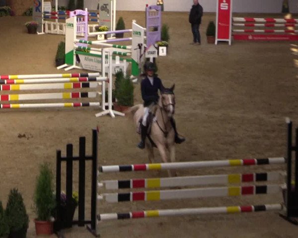 Reitturnier Legden 2018