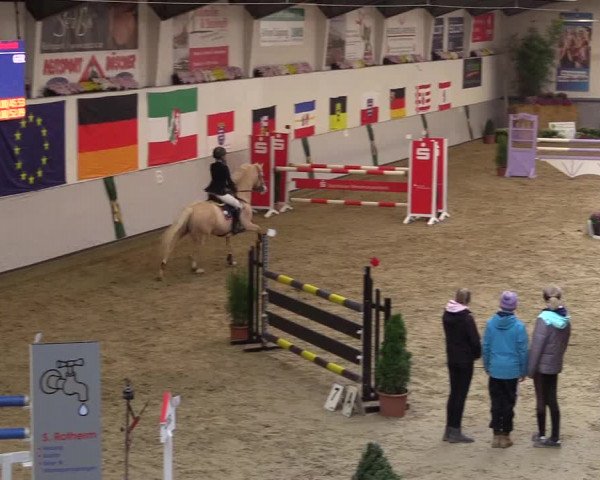 Reitturnier Legden 2018