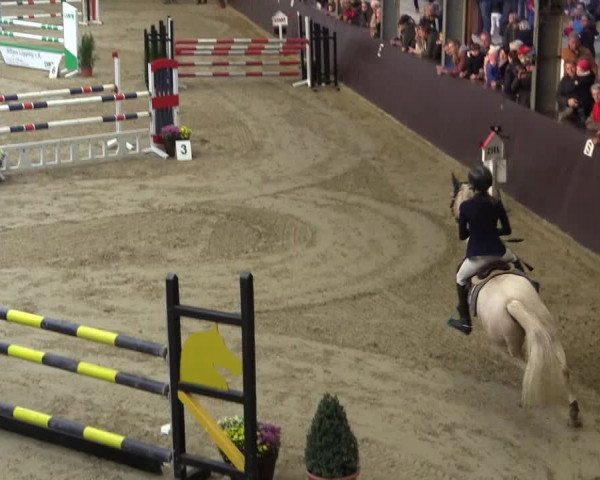 Reitturnier Legden 2018