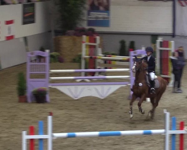 Reitturnier Legden 2018