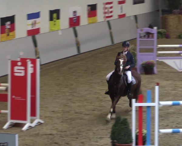 Reitturnier Legden 2018