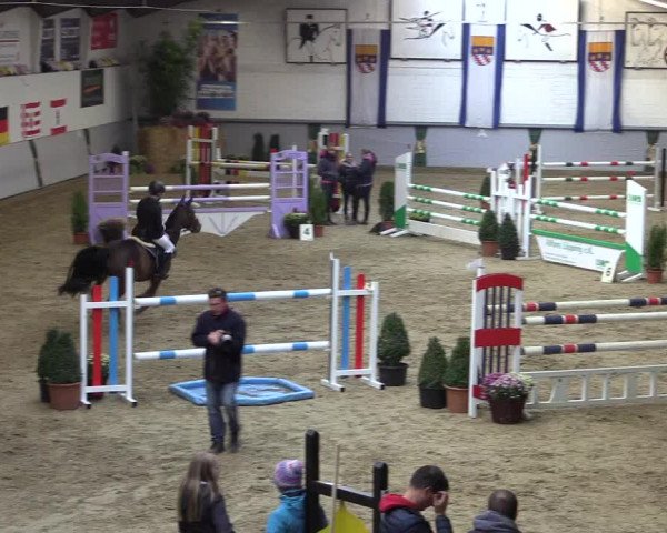 Reitturnier Legden 2018