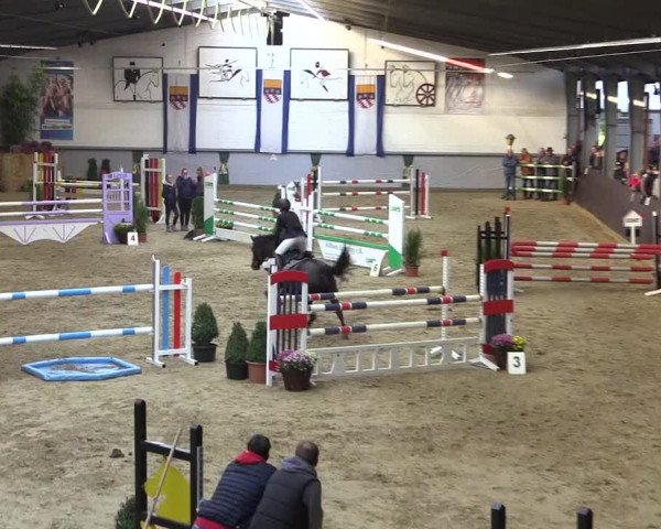 Reitturnier Legden 2018