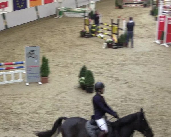 Reitturnier Legden 2018