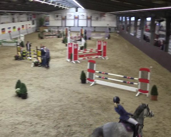Reitturnier Legden 2018