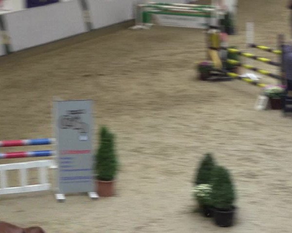 Reitturnier Legden 2018