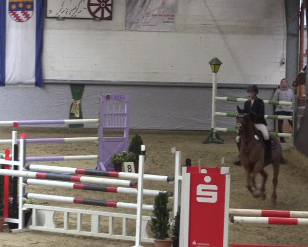 Reitturnier Legden 2018