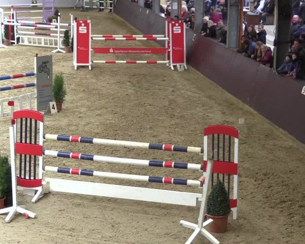 Reitturnier Legden 2018