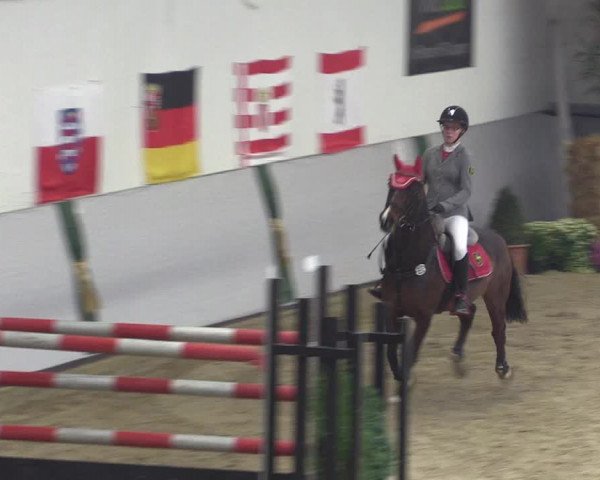 Reitturnier Legden 2018