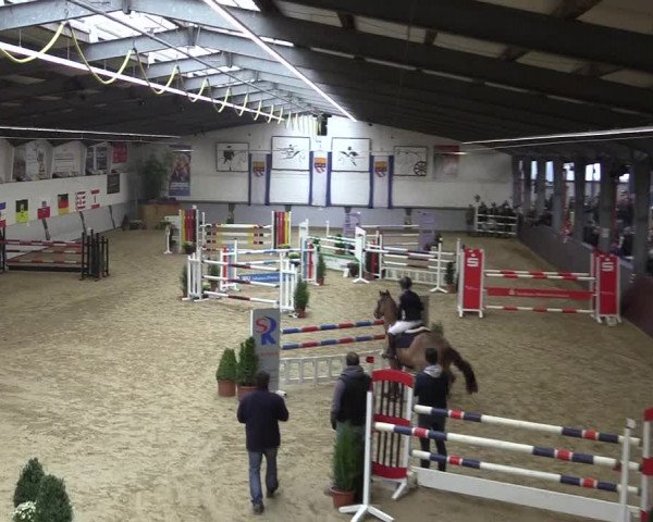Reitturnier Legden 2018