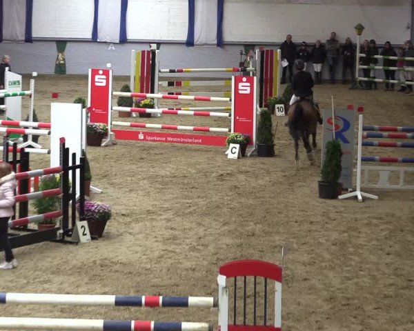 Reitturnier Legden 2018