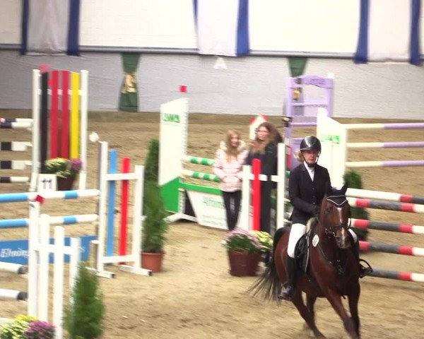 Reitturnier Legden 2018