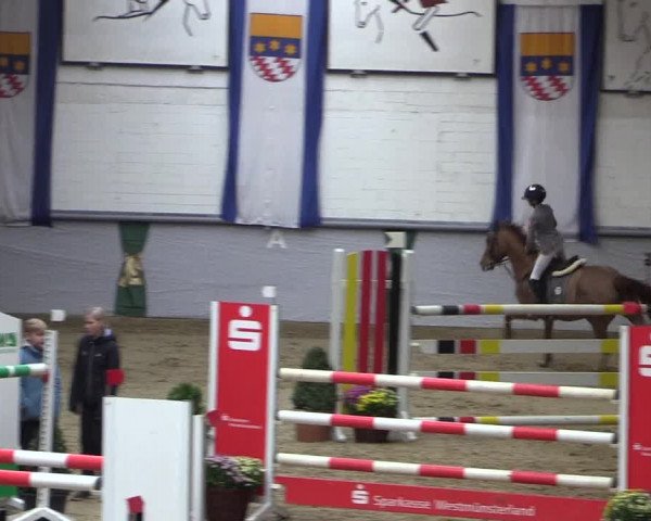 Reitturnier Legden 2018
