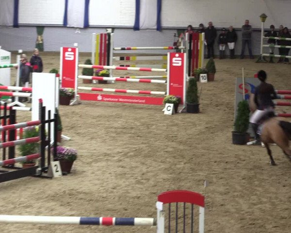 Reitturnier Legden 2018