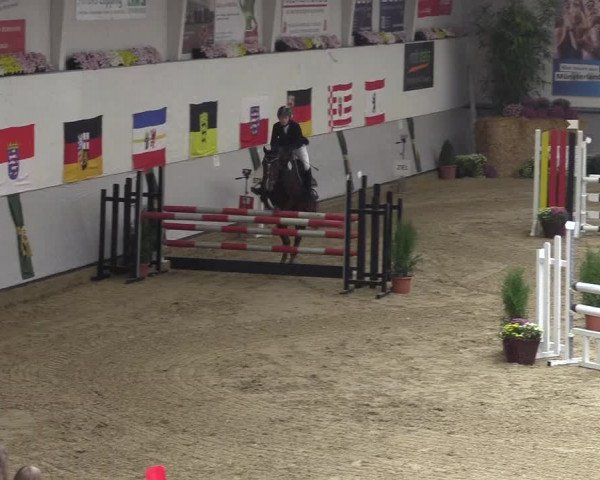 Reitturnier Legden 2018