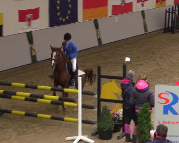 Reitturnier Legden 2018