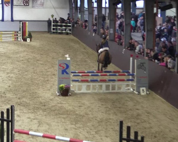 Reitturnier Legden 2018