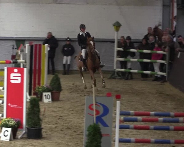 Reitturnier Legden 2018