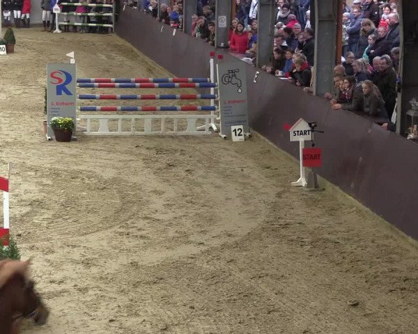Reitturnier Legden 2018