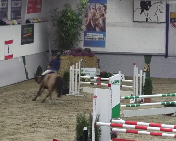 Reitturnier Legden 2018