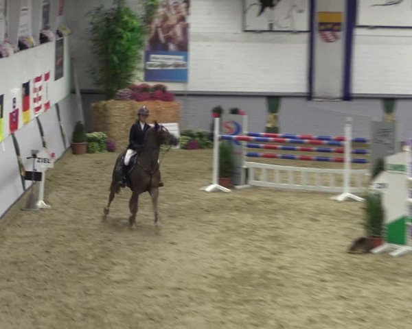 Reitturnier Legden 2018