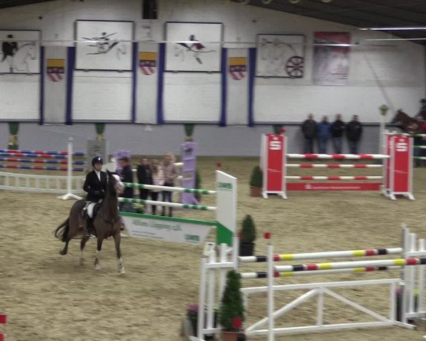 Reitturnier Legden 2018