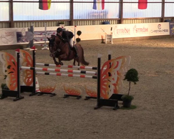 Nordic Jumping events 2018