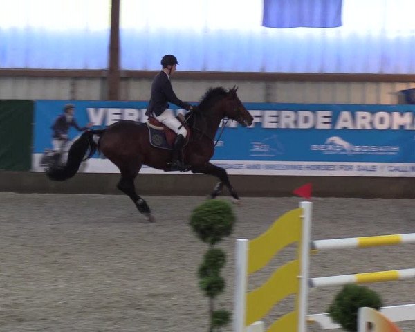 Nordic Jumping events 2018