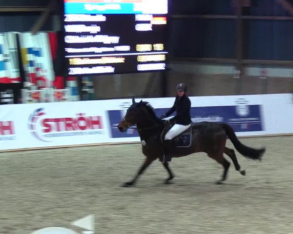 Nordic Jumping events 2018