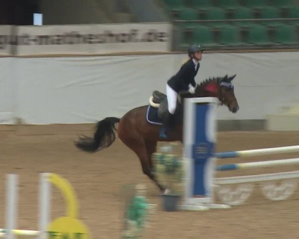 Reitturnier Kreuth 2018