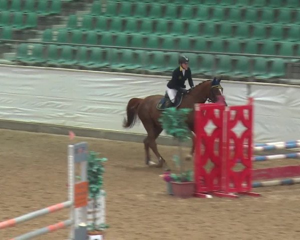 Reitturnier Kreuth 2018