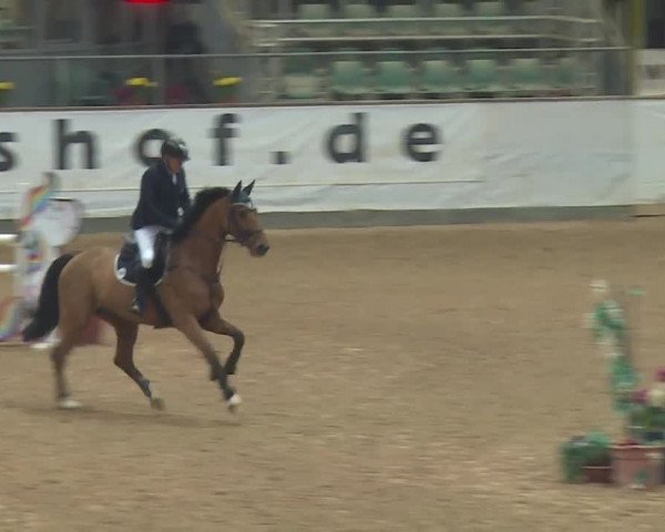 Reitturnier Kreuth 2018