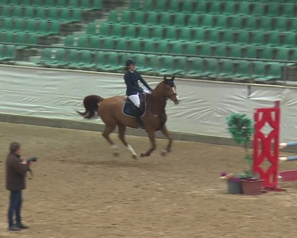 Reitturnier Kreuth 2018
