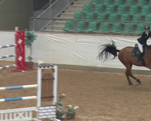 Reitturnier Kreuth 2018