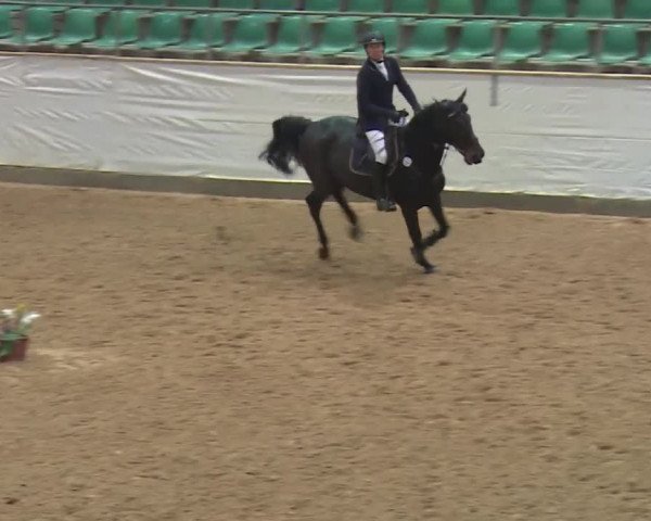 Reitturnier Kreuth 2018