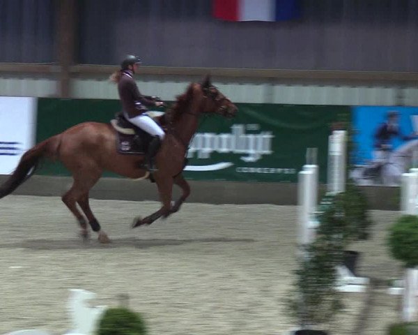 Nordic Jumping events 2018