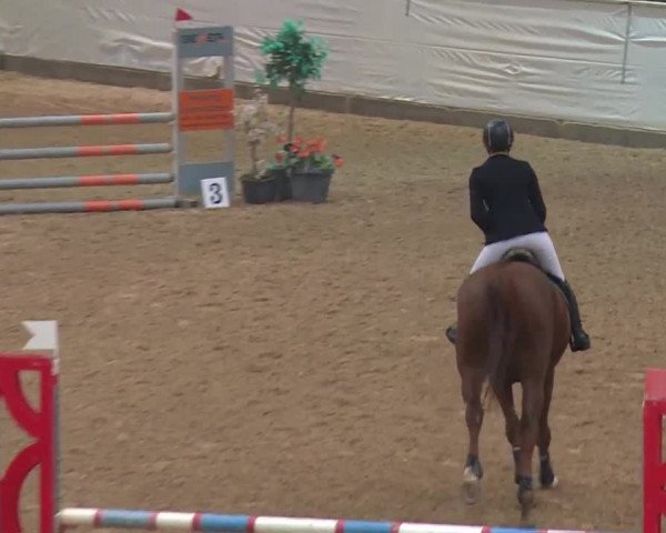 Reitturnier Kreuth 2018