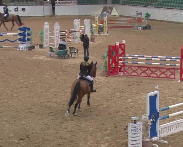 Reitturnier Kreuth 2018