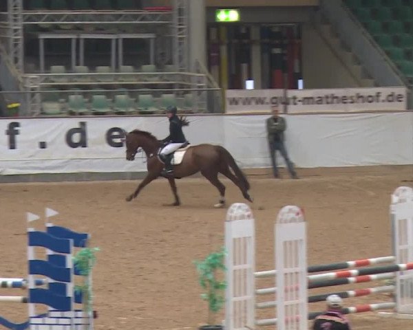 Reitturnier Kreuth 2018
