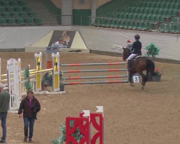 Reitturnier Kreuth 2018