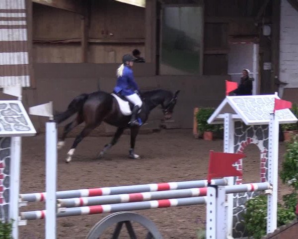 Reitturnier Hamburg-Hummelsbüttel 2018