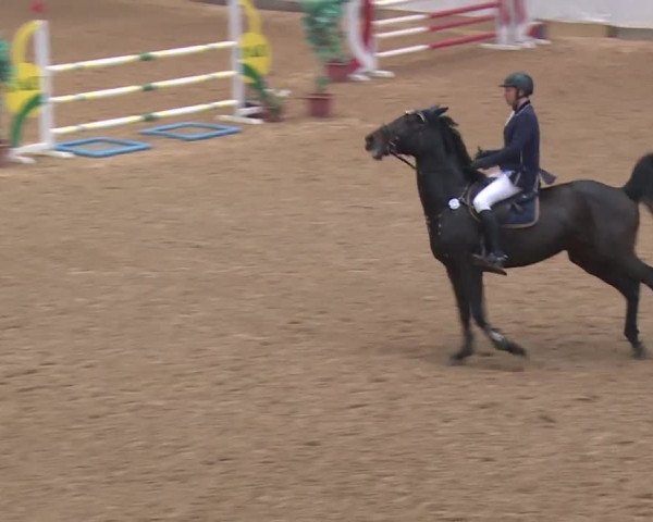 Reitturnier Kreuth 2018
